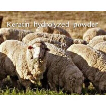 (Keratin Hydrolyzed Powder) ---Keratin